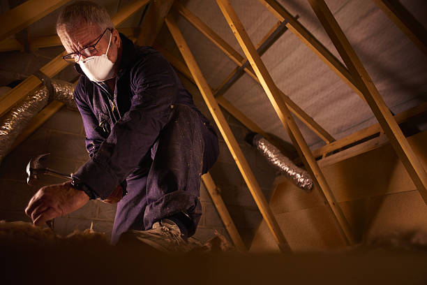 Best Insulation Maintenance and Repair in North Brooksville, FL